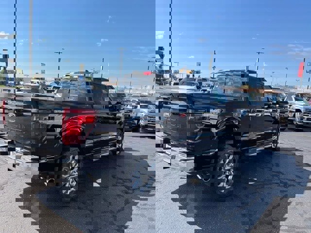 New 2024 Ford F150 XLT w/ Equipment Group 303A High image 13