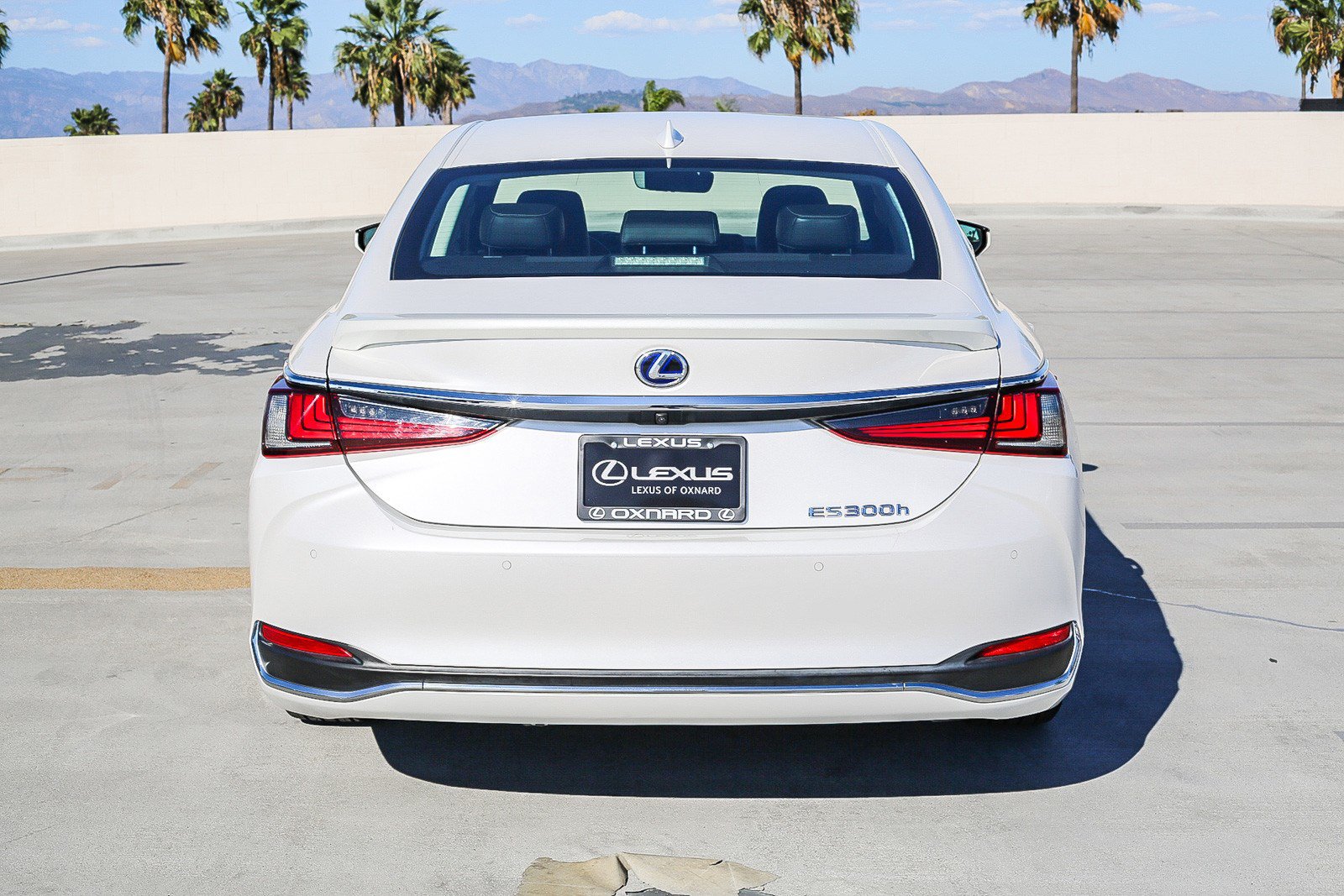 Used 2020 Lexus ES 300h w/ Premium Package FWD image 6