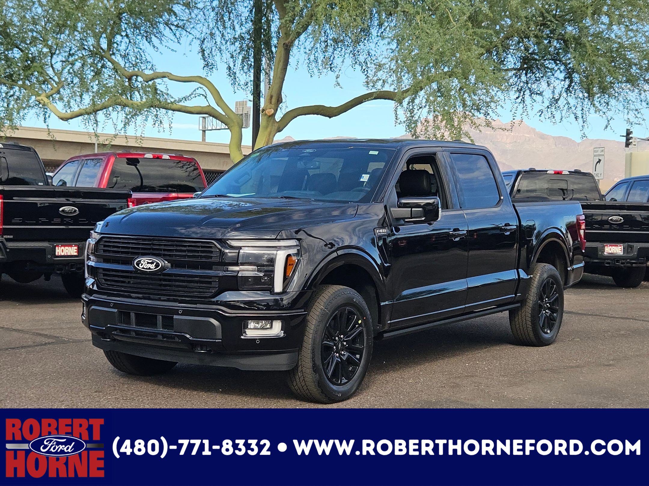 New 2025 Ford F150 Platinum w/ FX4 Off-Road Package image 1