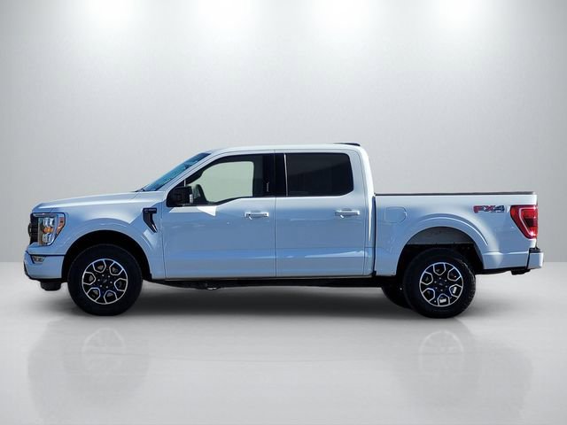 Used 2023 Ford F150 XLT w/ Equipment Group 302A High image 7