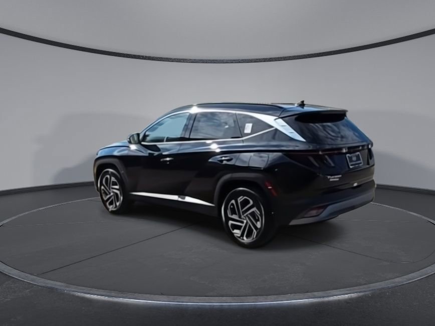 New 2025 Hyundai Tucson Limited image 6