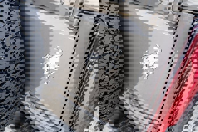 New 2025 Ford Bronco Badlands image 14