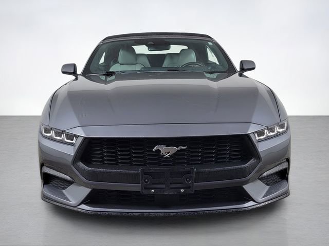 Certified 2024 Ford Mustang Premium image 8