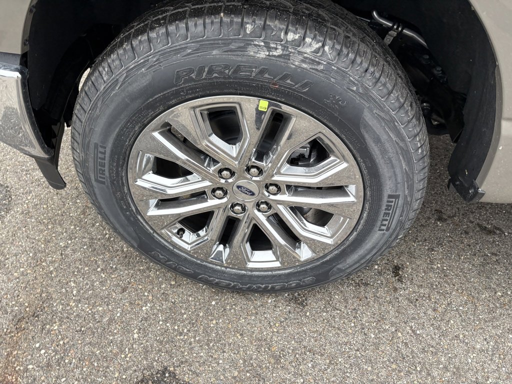 New 2026 Ford F150 XLT w/ Equipment Group 302A MID image 12