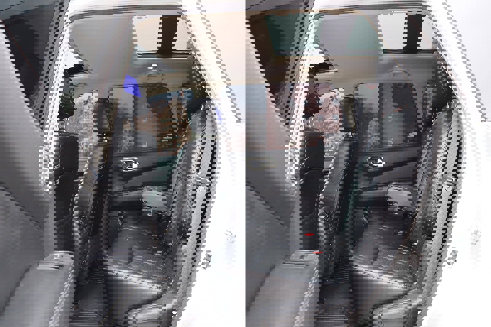 Used 2014 Nissan Pathfinder Platinum w/ Platinum Premium Package image 14