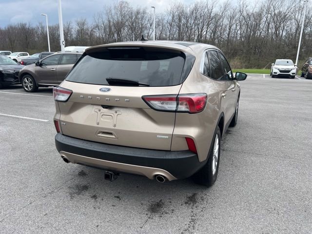 Used 2020 Ford Escape SE image 10