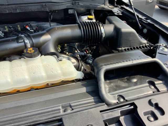Used 2025 Ford F150 XLT w/ Equipment Group 301A Standard AWD/4WD image 15