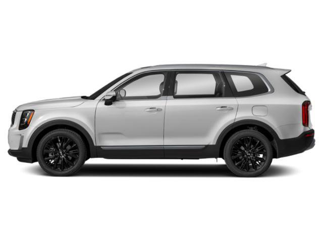Used 2021 Kia Telluride SX w/ SX Prestige Package image 6