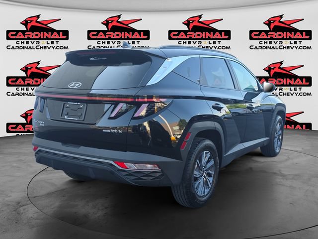 Used 2023 Hyundai Tucson Blue AWD/4WD image 3