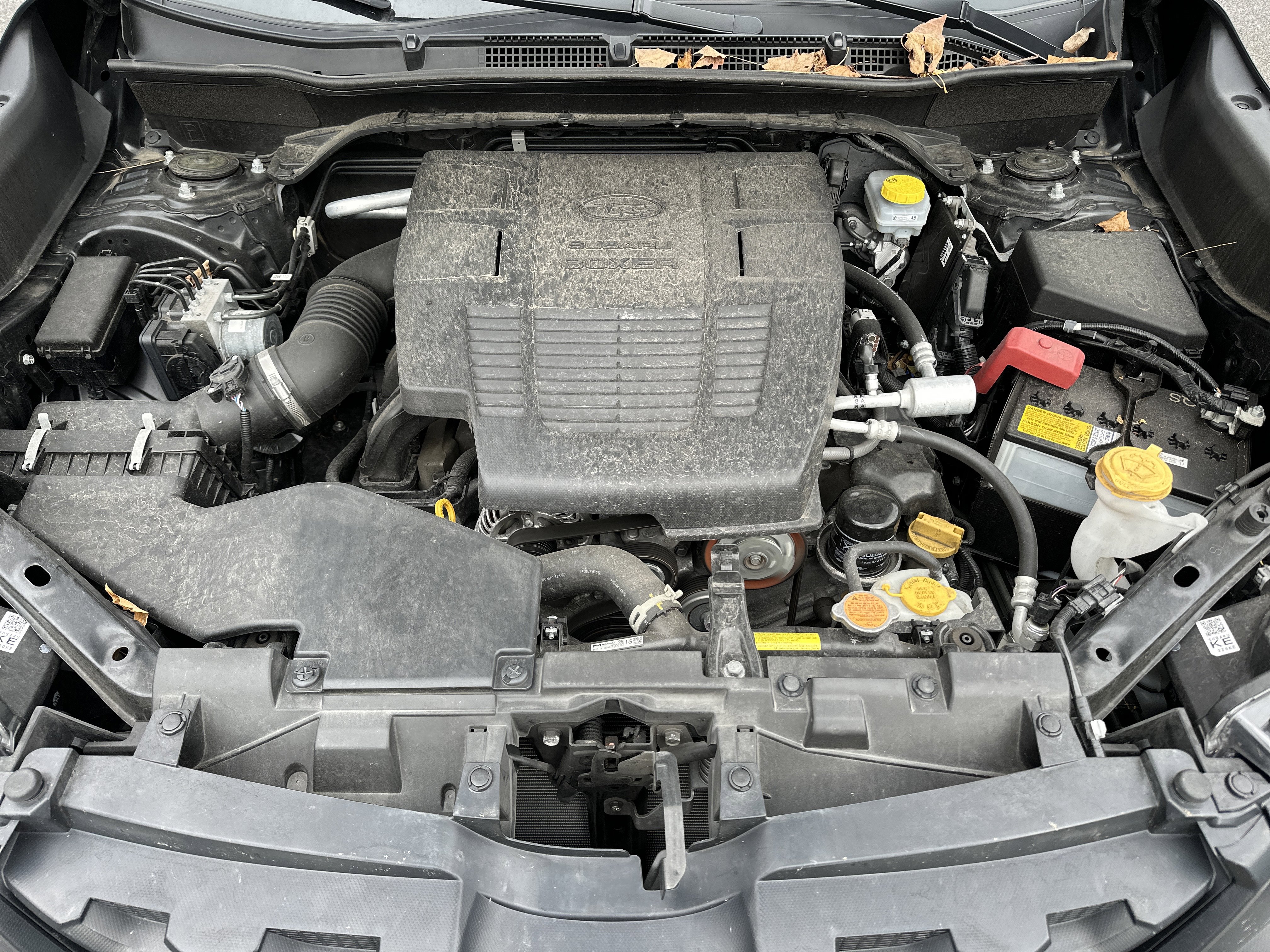 Used 2022 Subaru Forester Wilderness image 8