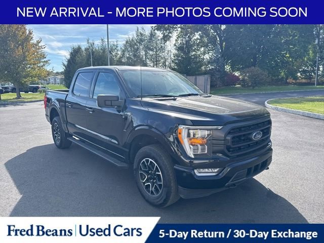 Certified 2023 Ford F150 XLT w/ Equipment Group 302A High