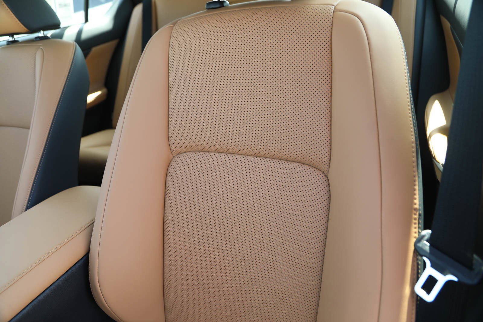 New 2026 Lexus IS 350 F Sport image 24