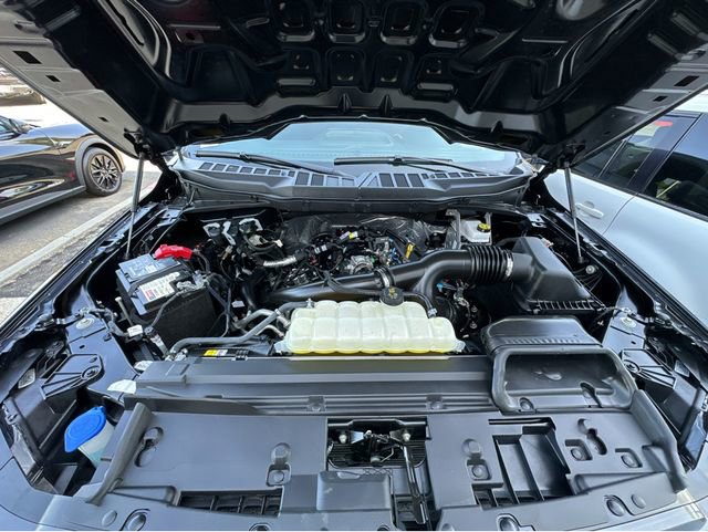Used 2025 Ford F150 STX w/ Equipment Group 200A RWD image 41