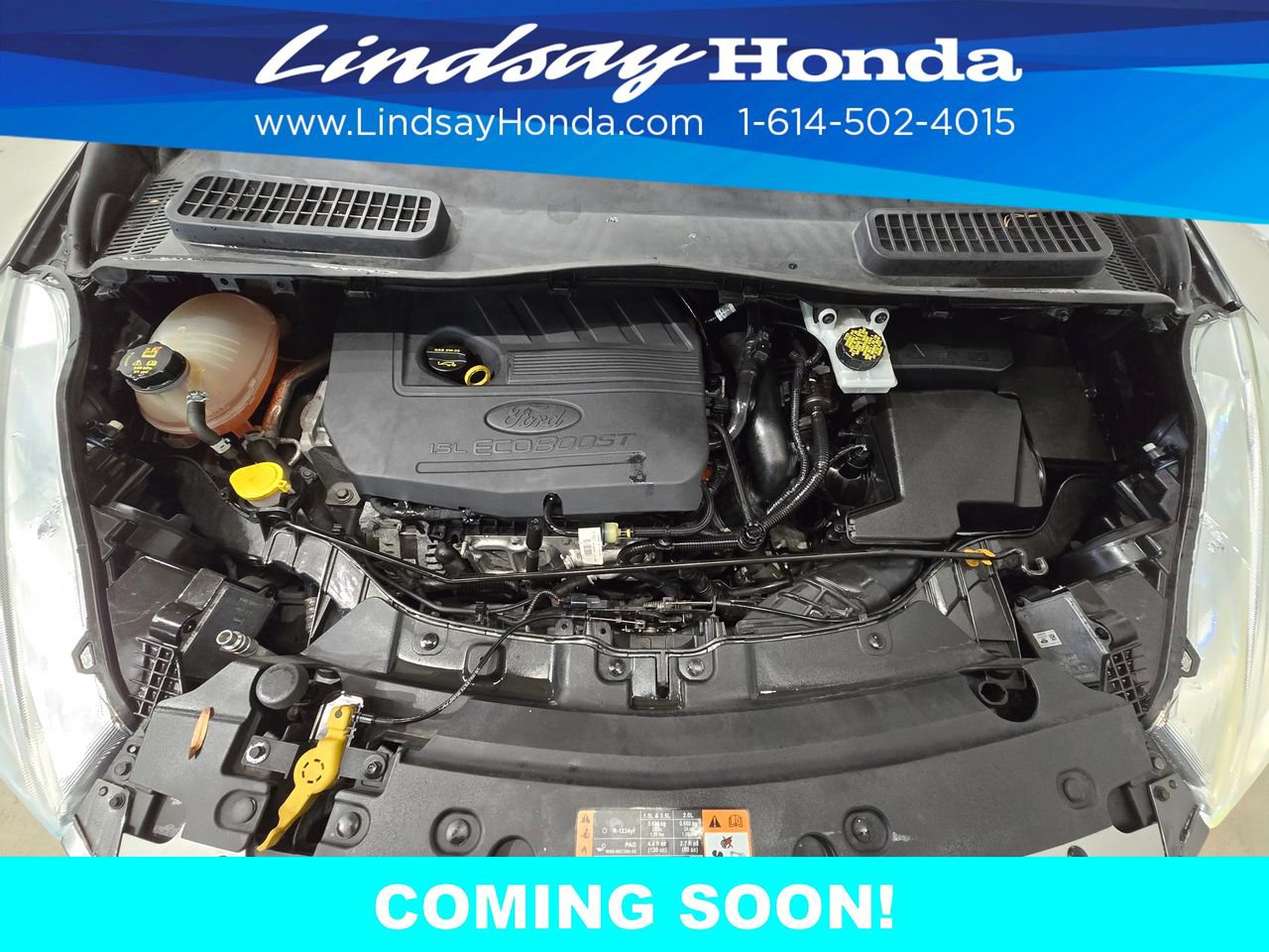 Used 2017 Ford Escape SE w/ Equipment Group 201A image 39