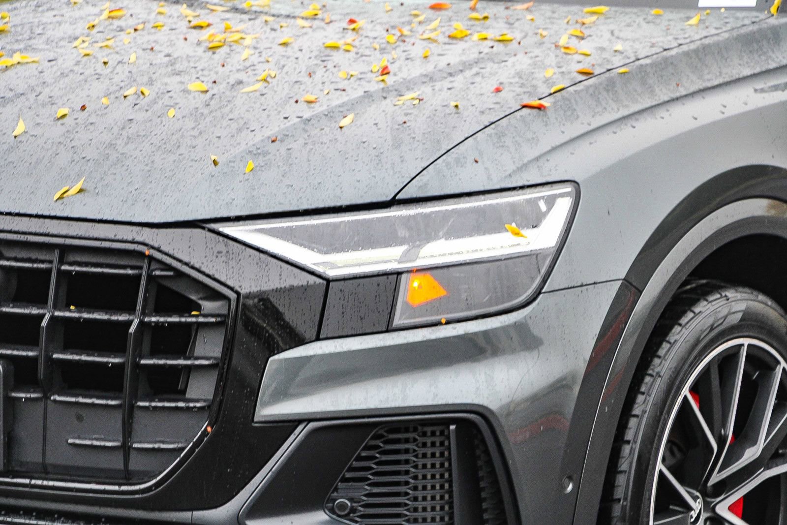 Used 2021 Audi Q8 Premium Plus w/ Premium Plus Package image 8