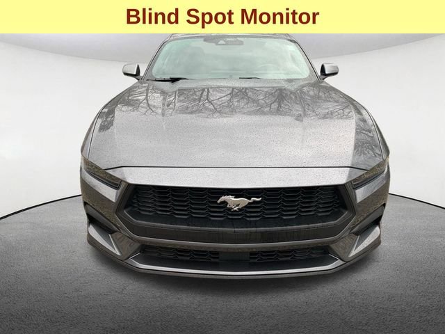 Used 2025 Ford Mustang Coupe image 4