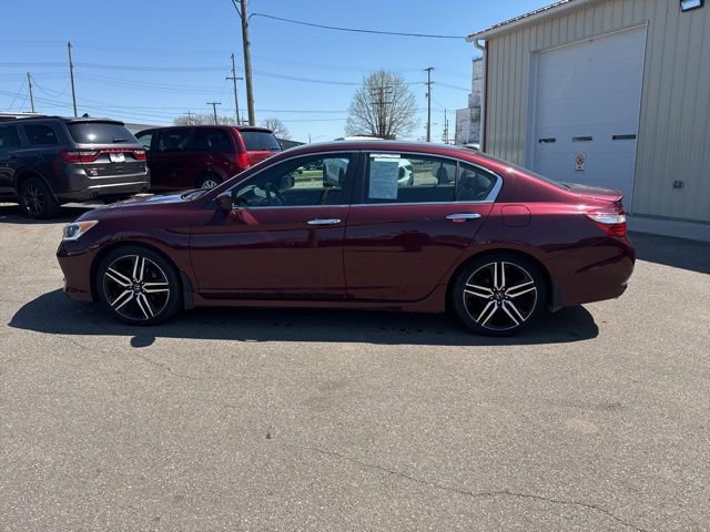 Used 2017 Honda Accord Sport Special Edition image 6