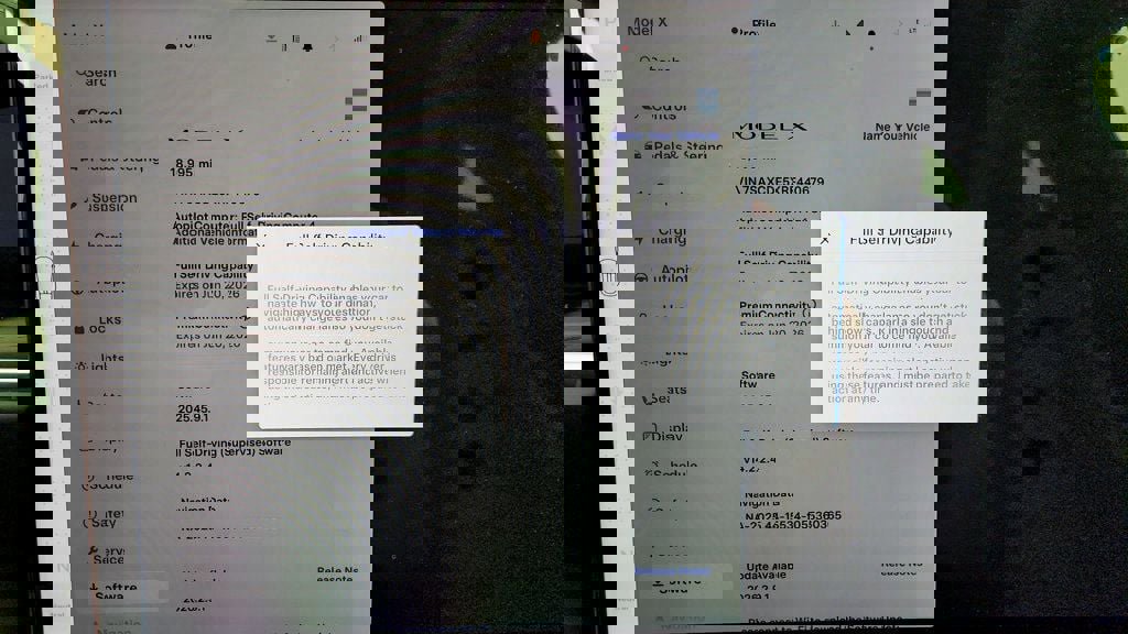 Used 2024 Tesla Model X image 15