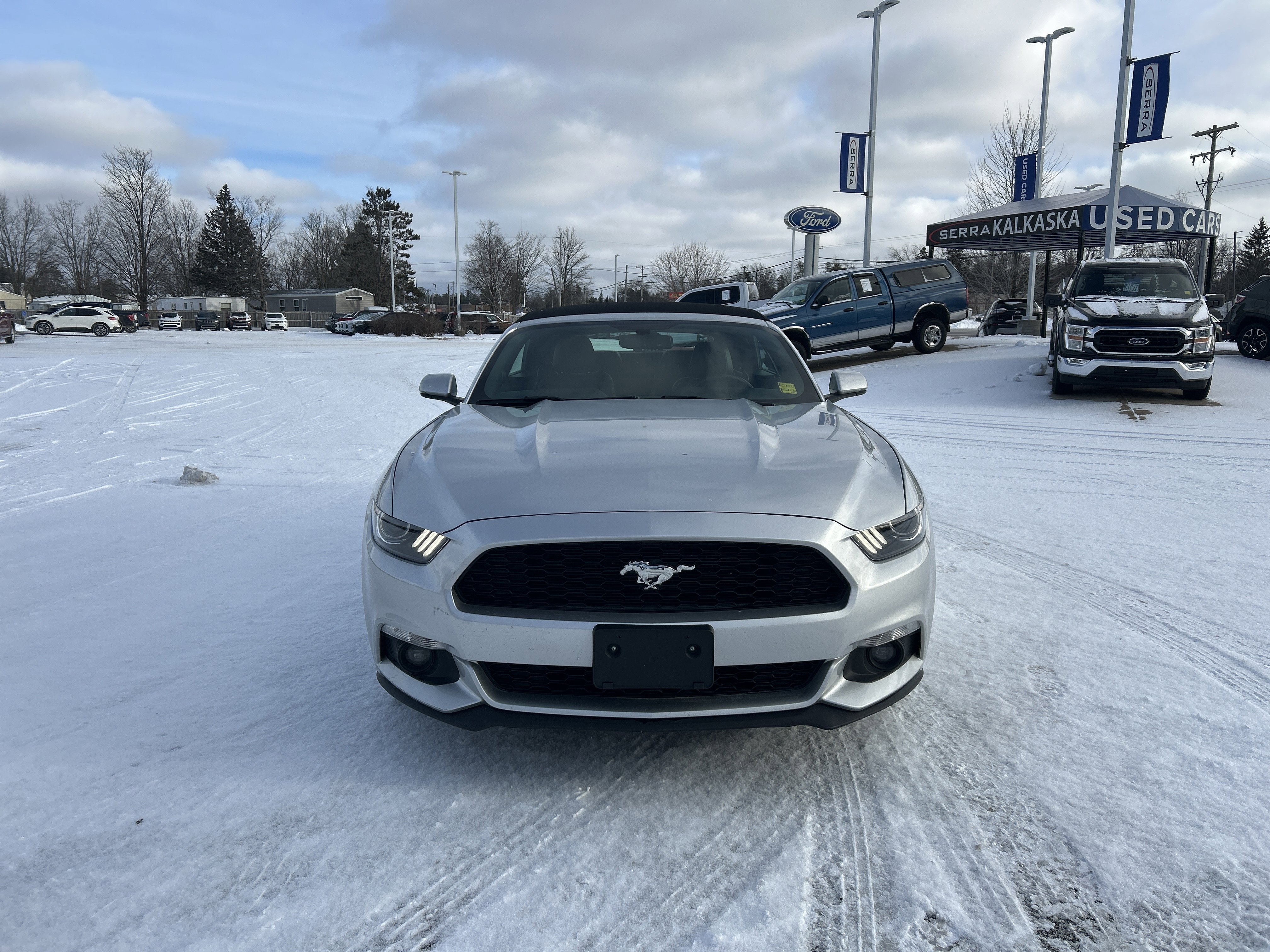 Used 2017 Ford Mustang Premium image 8