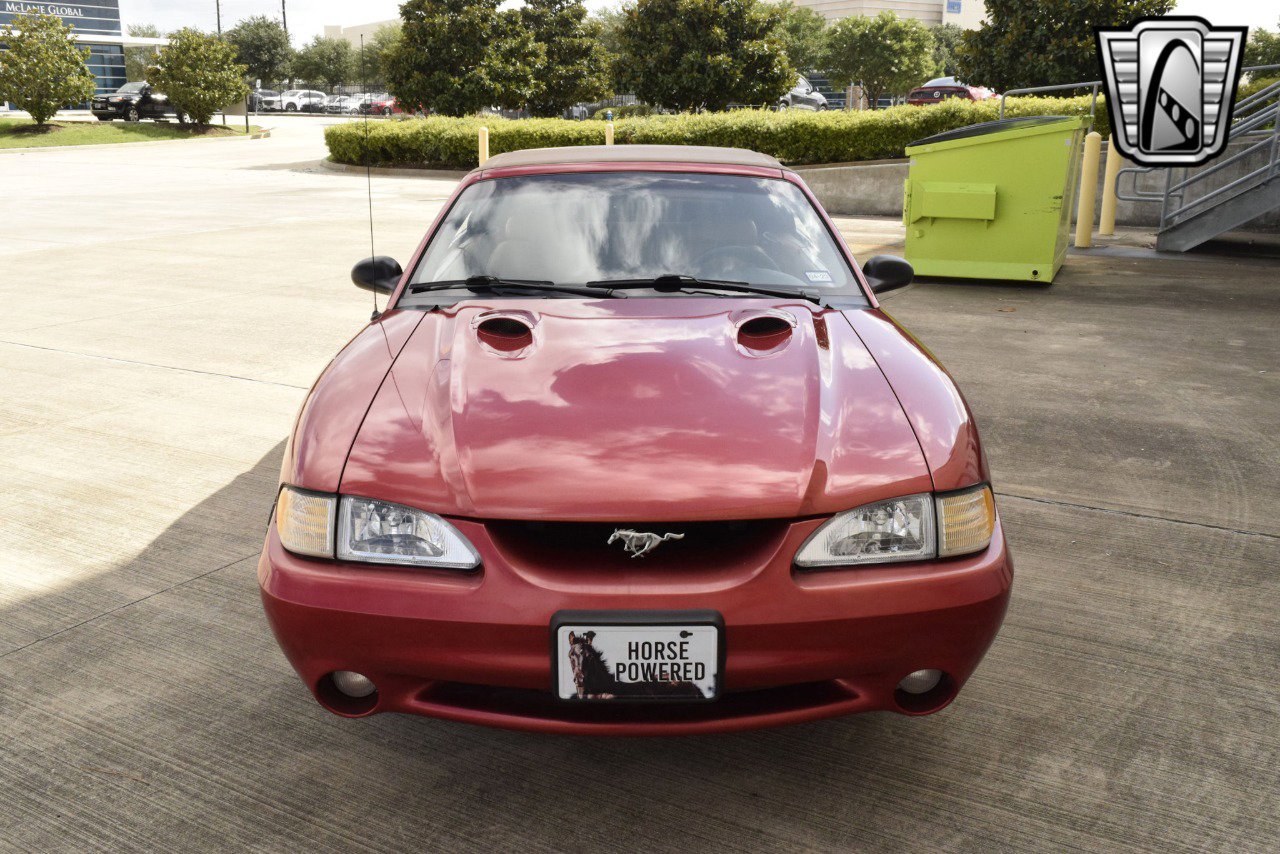 Used 1998 Ford Mustang Cobra image 8