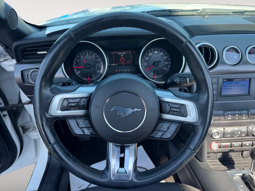 Used 2019 Ford Mustang Convertible w/ Ecoboost Performance Package RWD image 12