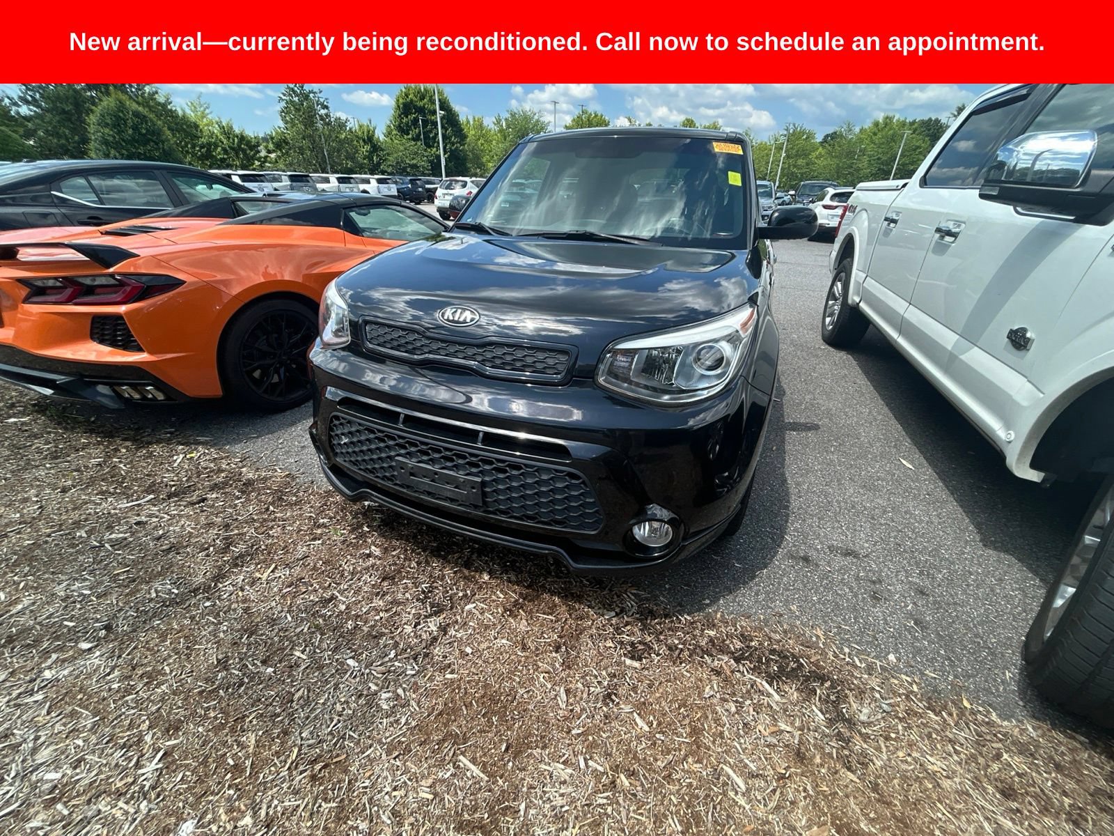 Used 2016 Kia Soul + w/ Tarmac Special Edition FWD image 12