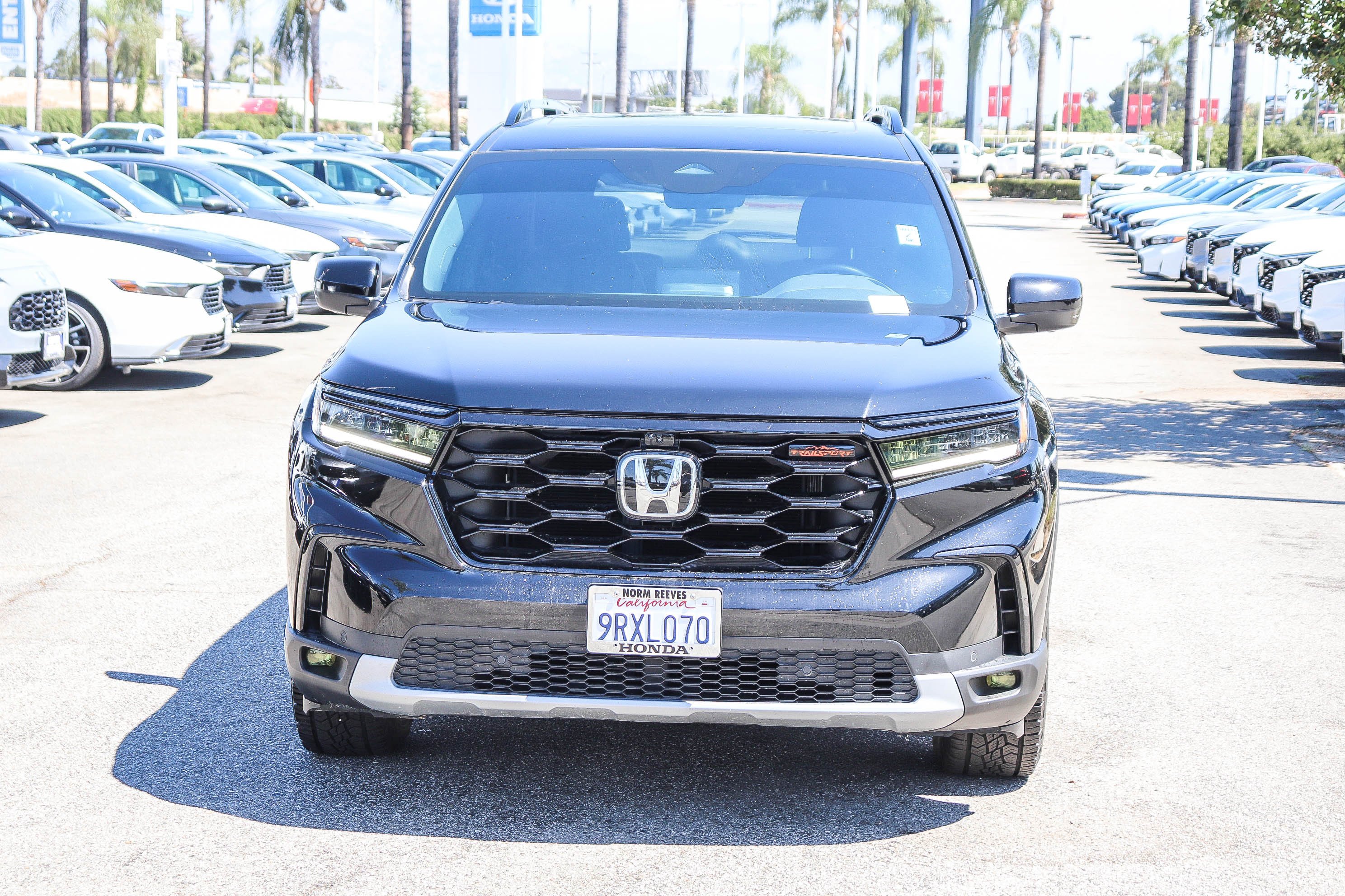 Used 2025 Honda Pilot TrailSport image 2