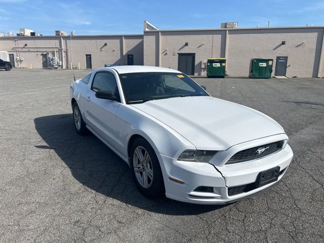 Used 2014 Ford Mustang Coupe w/ Equipment Group 102A image 7