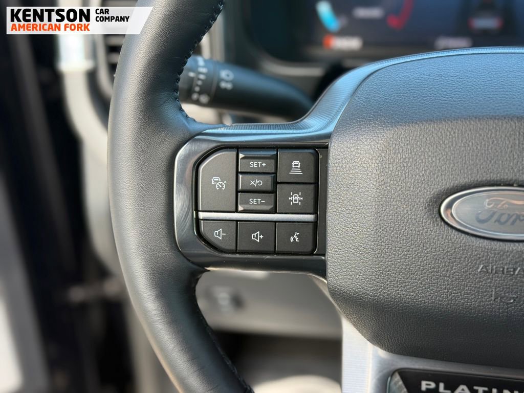 Used 2025 Ford F250 Platinum w/ Tremor Off-Road Package AWD/4WD image 20
