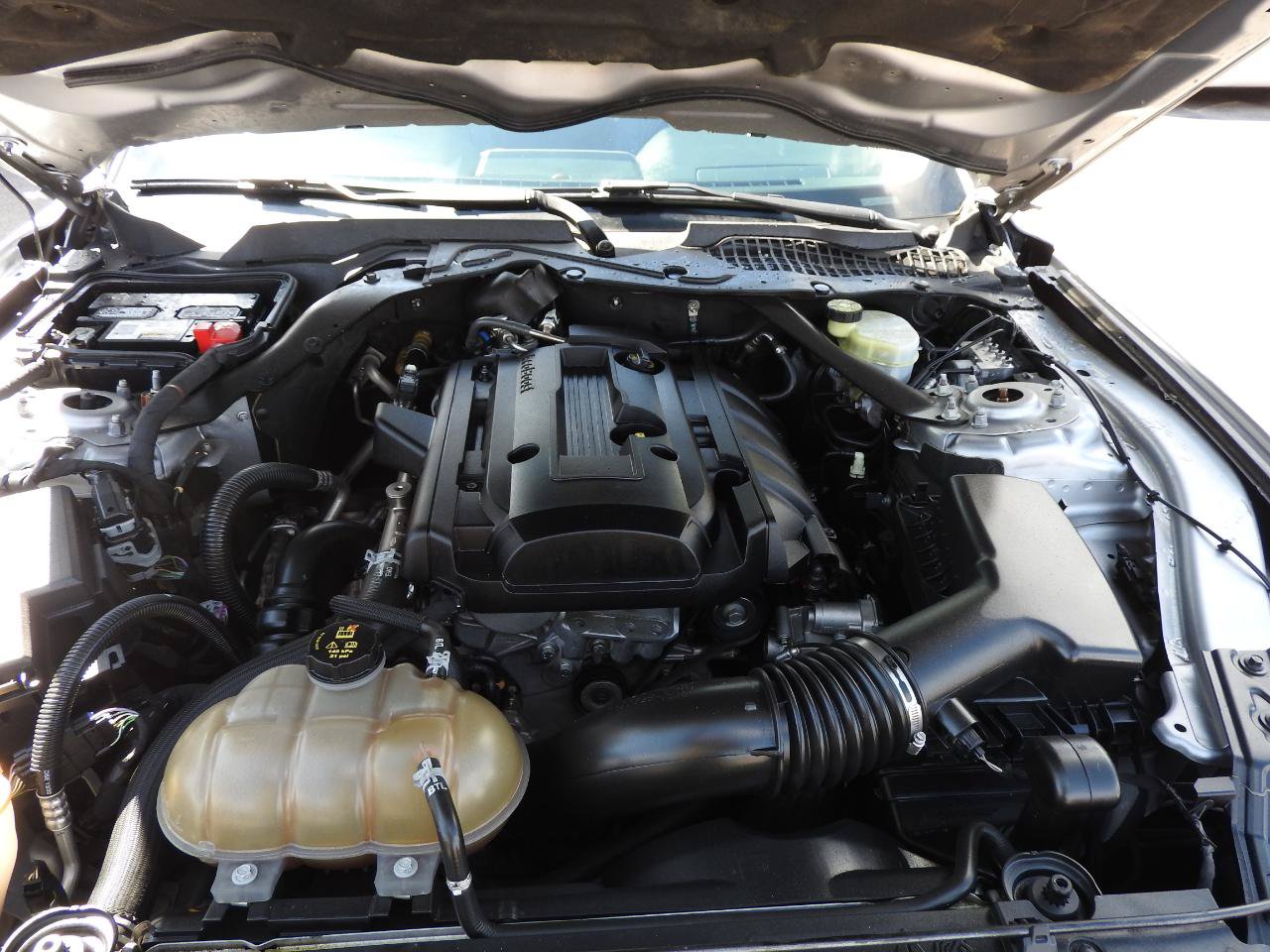 Used 2020 Ford Mustang Premium RWD image 12