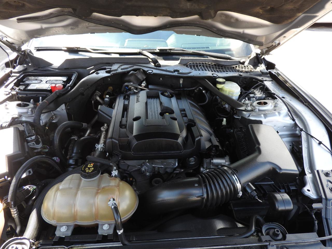 Used 2020 Ford Mustang Premium image 12