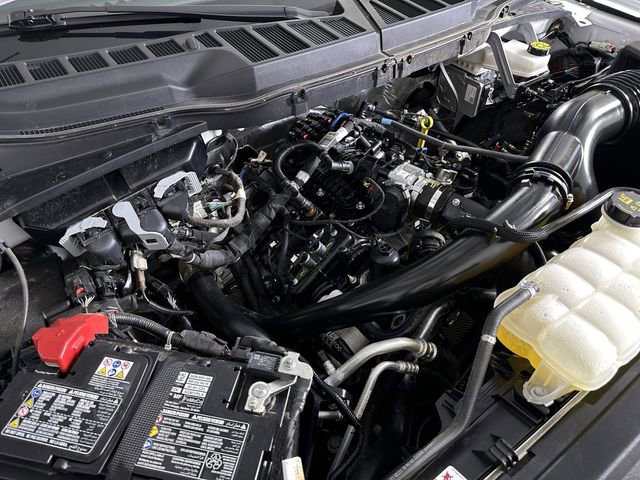 Used 2025 Ford F150 XLT w/ Equipment Group 301A Standard image 29