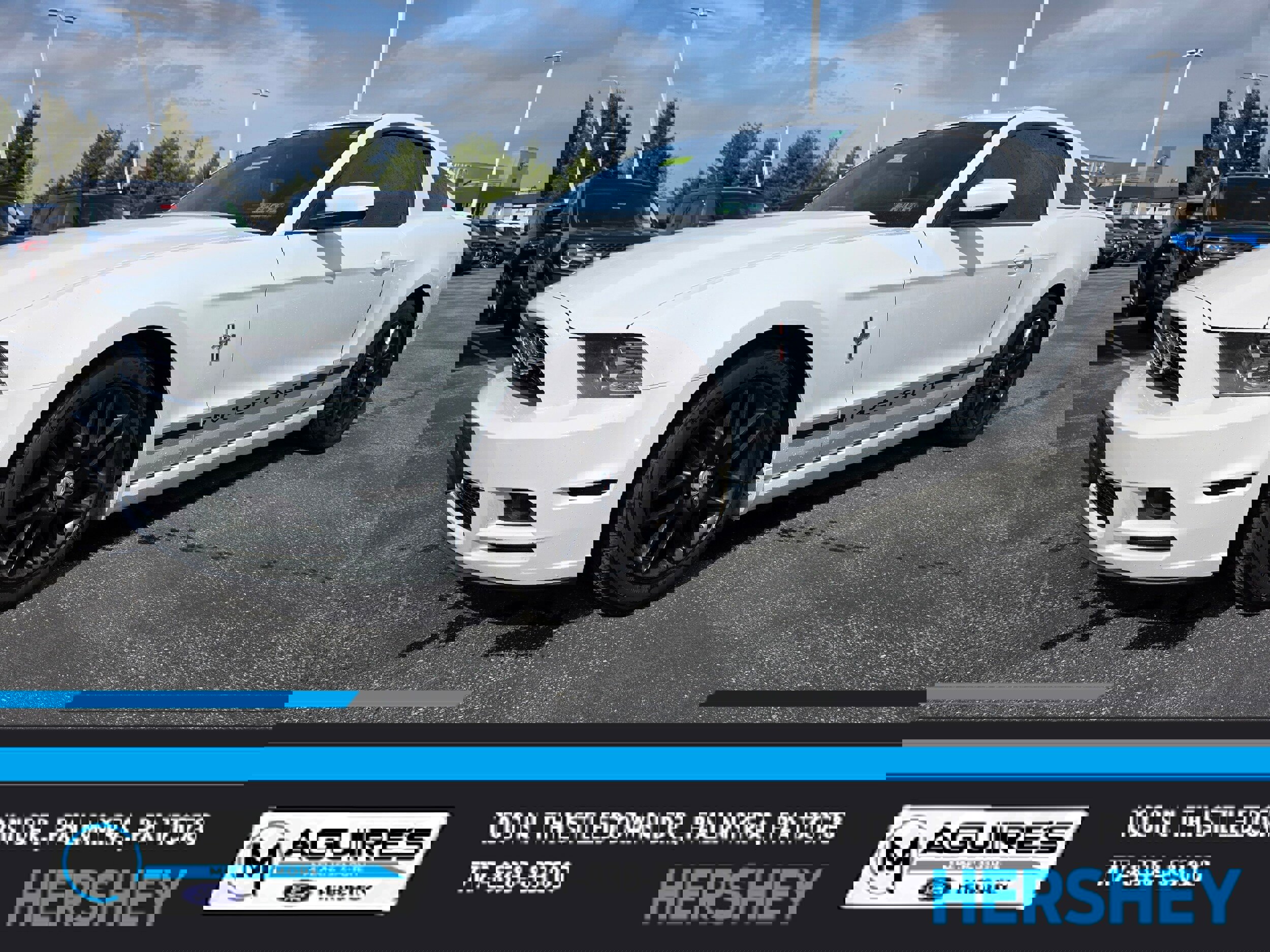 Used 2014 Ford Mustang Premium w/ Equipment Group 202A image 1