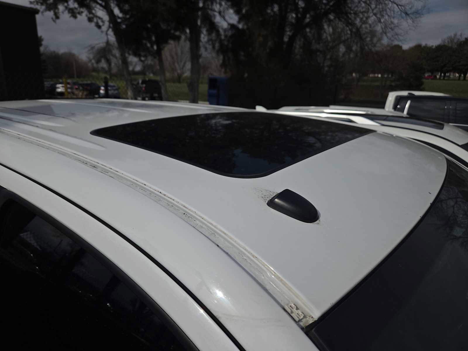 Used 2014 Toyota Tundra Platinum image 3