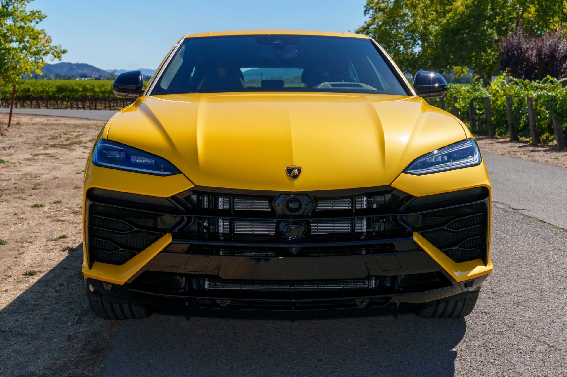 Used 2025 Lamborghini Urus SE image 3