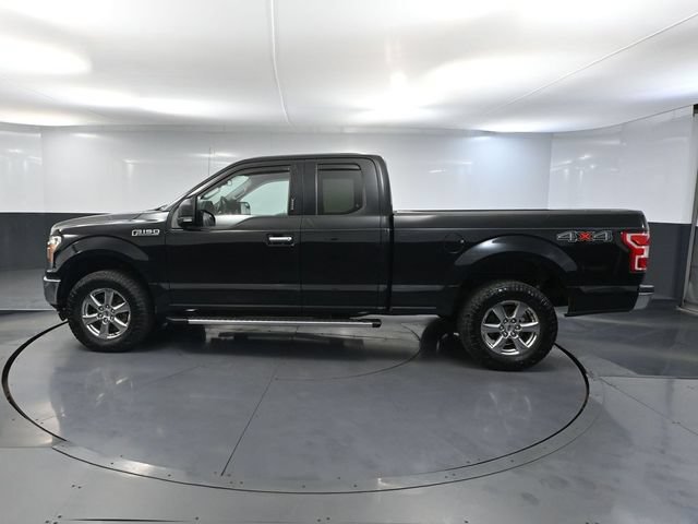 Used 2019 Ford F150 XLT w/ Equipment Group 302A Luxury AWD/4WD image 6
