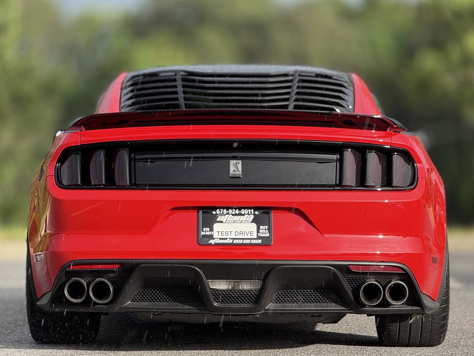 Used 2016 Ford Mustang Shelby GT350 w/ Track Package image 5