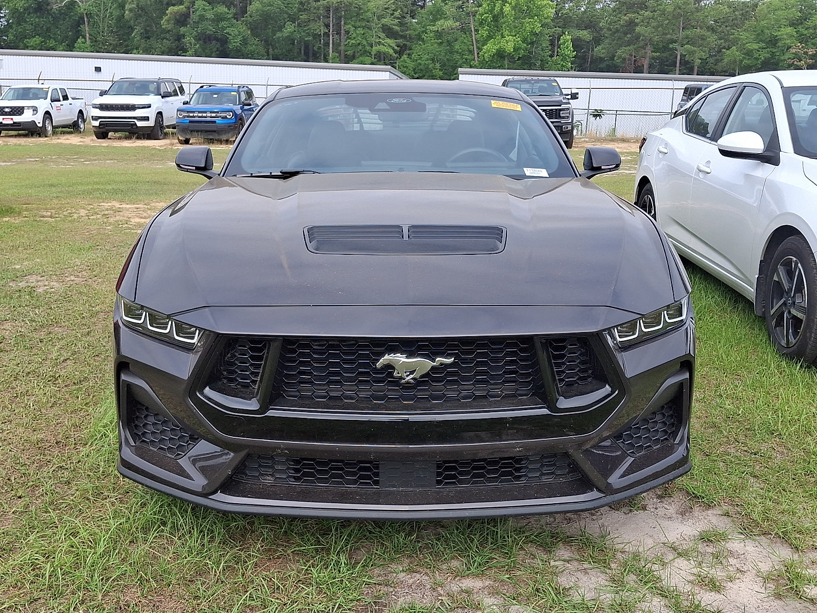 Used 2024 Ford Mustang GT RWD image 2