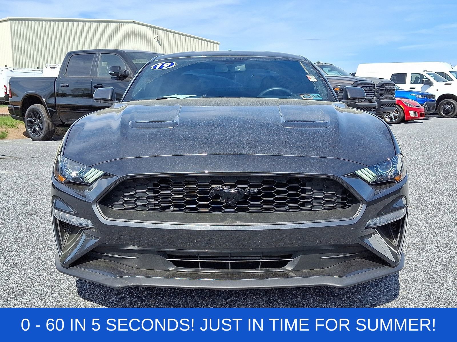 Used 2019 Ford Mustang Coupe w/ Ecoboost Performance Package image 2
