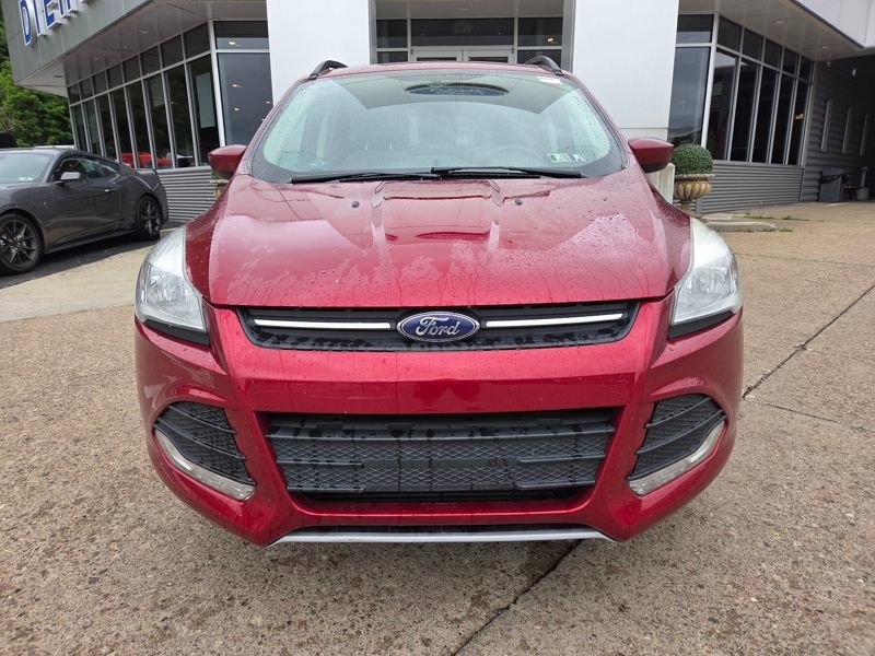 Used 2014 Ford Escape SE w/ Equipment Group 201A AWD/4WD image 2