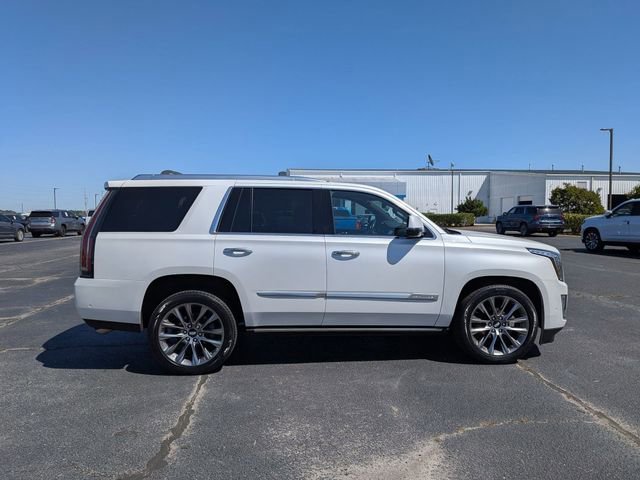 Used 2020 Cadillac Escalade Platinum AWD/4WD image 2