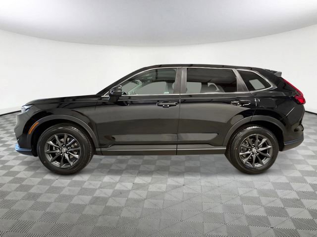 New 2026 Honda CR-V EX-L image 3