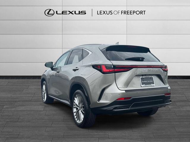 Certified 2023 Lexus NX 350 AWD w/ Cold Area Package image 6