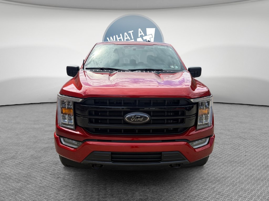 Used 2023 Ford F150 XLT w/ Equipment Group 302A High AWD/4WD image 9