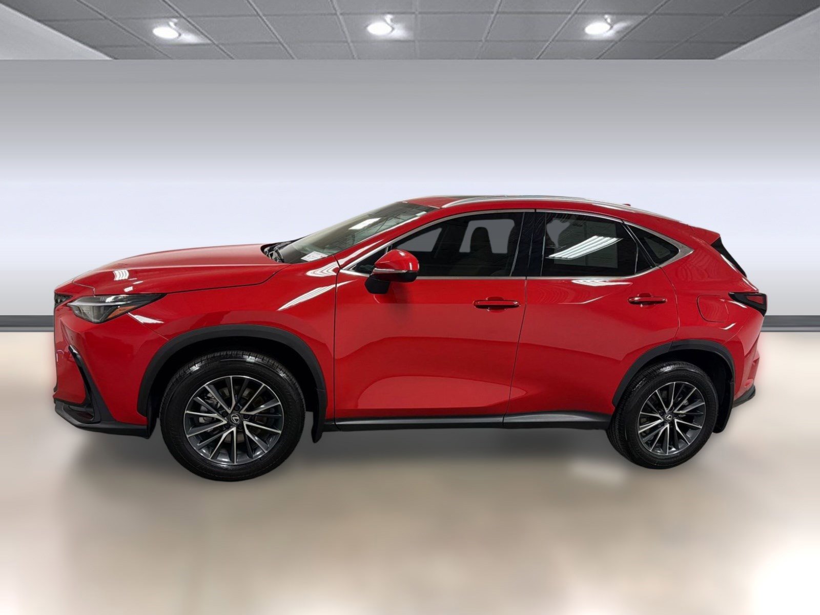 Used 2025 Lexus NX 250 FWD w/ Cold Area Package image 2
