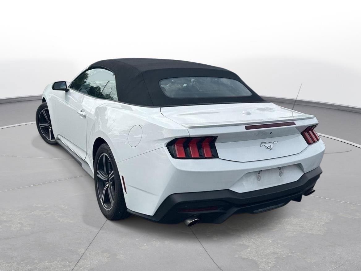 Used 2025 Ford Mustang Premium RWD image 8