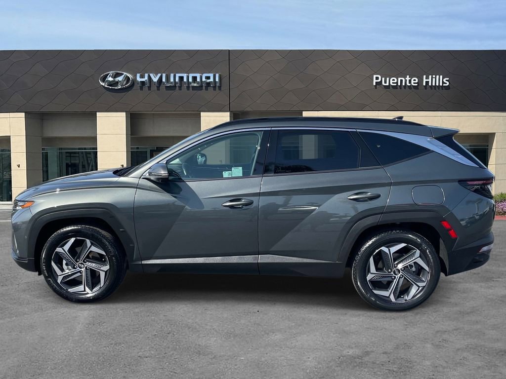 Certified 2024 Hyundai Tucson Limited image 3