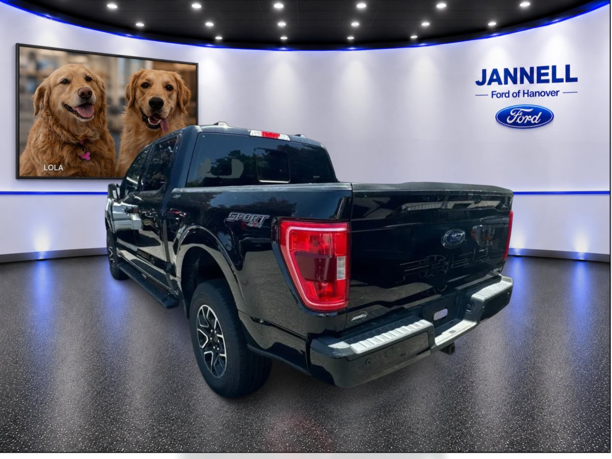 Used 2023 Ford F150 XLT w/ Equipment Group 302A High AWD/4WD image 8
