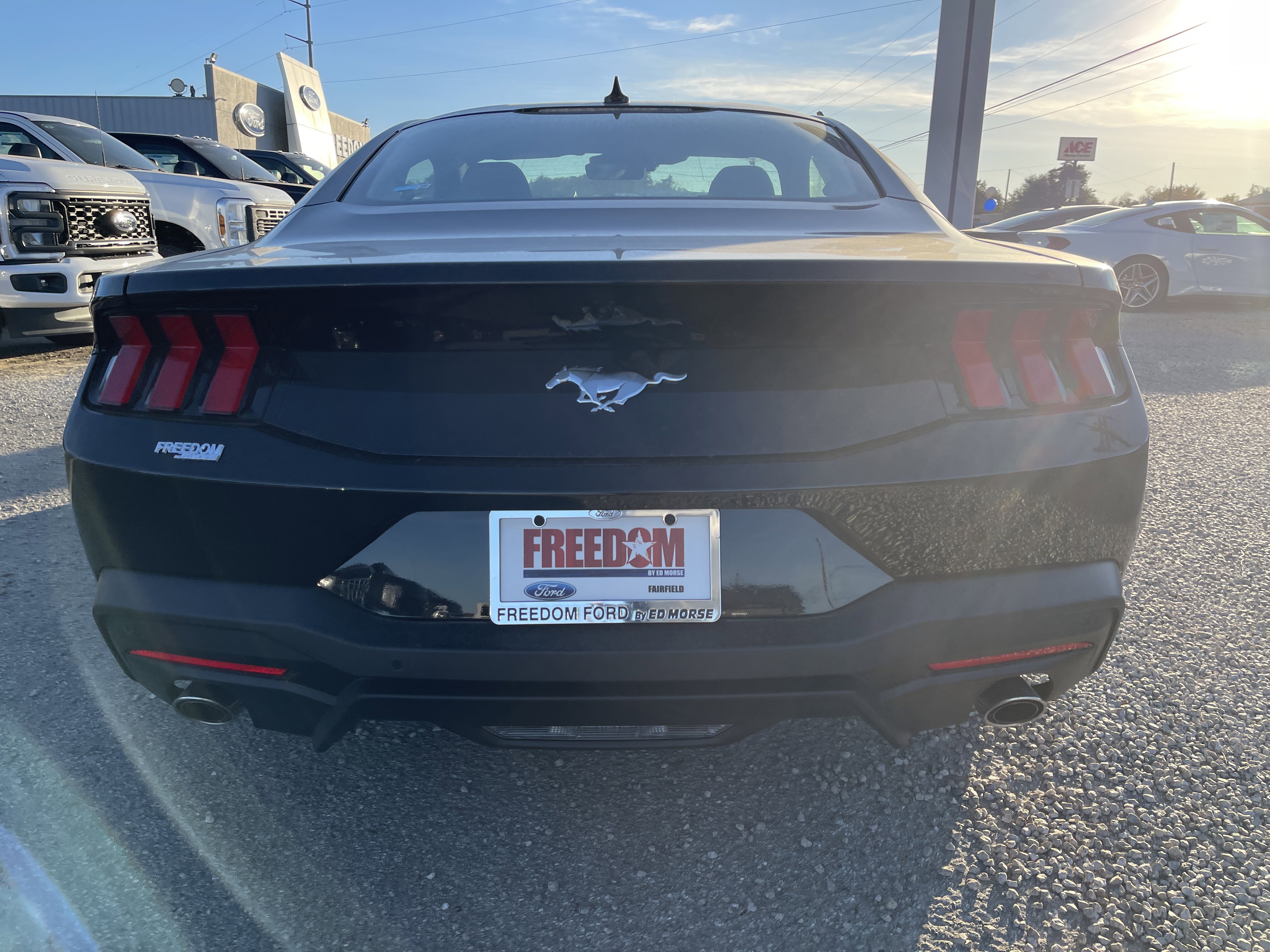 New 2025 Ford Mustang Coupe image 5