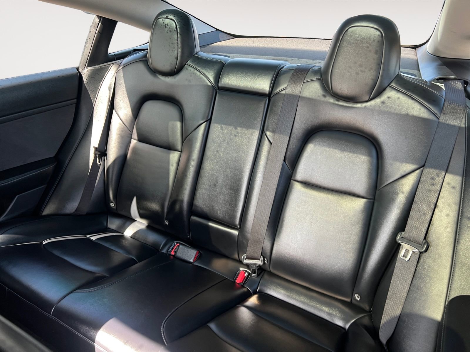 Used 2022 Tesla Model 3 Standard Range RWD image 13